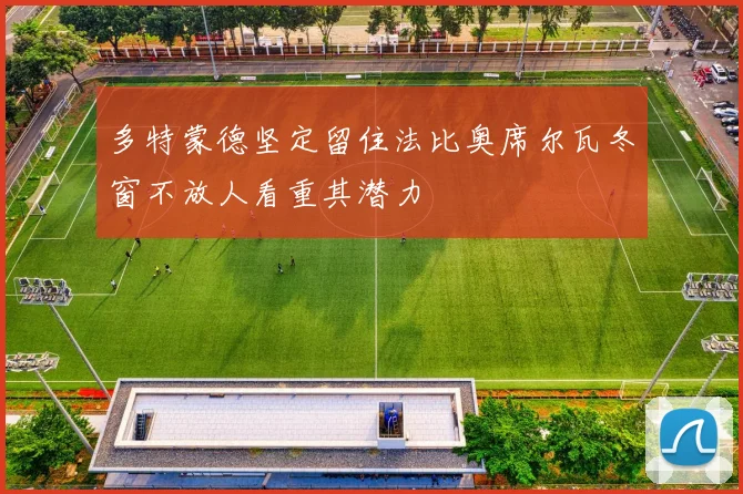 多特蒙德坚定留住法比奥席尔瓦冬窗不放人看重其潜力